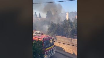 فوشانة: حريق في غابة زيتون فوشانة: حريق في غابة زيتون