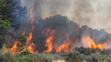 حرائق غابات اسبانيا تودي بحياة 12 شخصا حرائق غابات اسبانيا تودي بحياة 12 شخصا