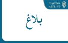 رئيس الجمهورية يصدر عفوا خاصا على 2439 سجينا - tn