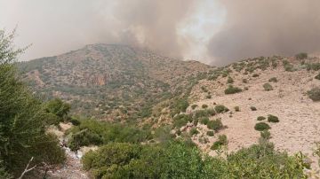 برقو...تواصل المجهودات للسيطرة على الحرائق برقو...تواصل المجهودات للسيطرة على الحرائق