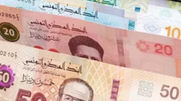 ارتفاع مداخيل السياحة وتحويلات التونسيين بالخارج إلى 11 مليار دينار ارتفاع مداخيل السياحة وتحويلات التونسيين بالخارج إلى 11 مليار دينار