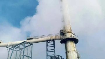 Stop Pollution تطالب بتعجيل تفكيك الوحدات الملوثة في قابس Stop Pollution تطالب بتعجيل تفكيك الوحدات الملوثة في قابس