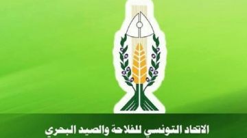 ندوة وطنية لإنقاذ قطاع الصيد ندوة وطنية لإنقاذ قطاع الصيد