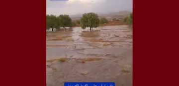 مرصد الطقس و المناخ: الثلاثاء 4 أوت يوم حار و ممطر على بعض المرتفعات مرصد الطقس و المناخ: الثلاثاء 4 أوت يوم حار و ممطر على بعض المرتفعات
