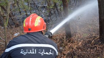 سليانة: وحدات الحماية المدنية تواصل عمليات التدخل للسيطرة على حريق جبل مزاتة سليانة: وحدات الحماية المدنية تواصل عمليات التدخل للسيطرة على حريق جبل مزاتة