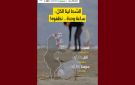 وزارة البيئة: التقييم نصف المرحلي لبرنامج تنظيف الشواطئ التونسية