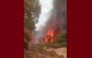 برقو: الجهود متواصلة للسيطرة على حريق جبل بولمان و لإجلاء عائلات من دوار القواسمية