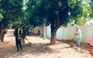 منزل بورقيبة.. مع بدء العد التنازلي للعودة المدرسية .. .مصالح حفظ النظافة تضبط برنامجا خاصا - tn