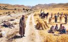 عبد الرؤوف التومي يتذكر ...نكهة ريف زمان بـ المغيلة لا تنسى