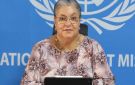 أزمة مستمرة... وبعثة عاجزة ... ليبيا في مجلس الأمن مجددا - tn