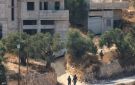 عشرات المستوطنين يهاجمون بلدة فلسطينية شمالي الضفة - tn