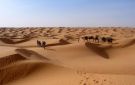تقنيات حديثة لمكافحة التصحر