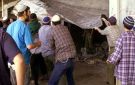 هدم وإخلاء وقتل ... عربدة صهيونية... في الضفة