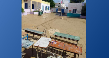 أريانة الشمالية: صورة اليوم من صفحة أخبار جعفر أريانة الشمالية: صورة اليوم من صفحة أخبار جعفر