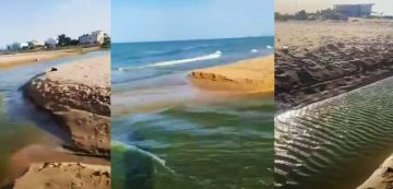 أريانة منصة صوت تطلق صفارة إنذار بخصوص التلوث في بحر رواد (فيديو) أريانة منصة صوت تطلق صفارة إنذار بخصوص التلوث في بحر رواد (فيديو)