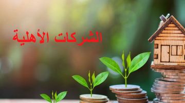 رياض شود: نحو إحداث 1200 شركة أهلية رياض شود: نحو إحداث 1200 شركة أهلية