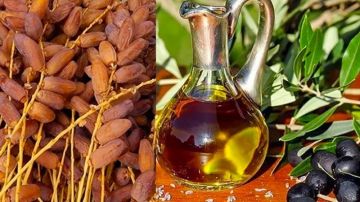 عائدات صادرات المنتجات الفلاحية البيولوجية تبلغ 669.2 مليون دينار عائدات صادرات المنتجات الفلاحية البيولوجية تبلغ 669.2 مليون دينار