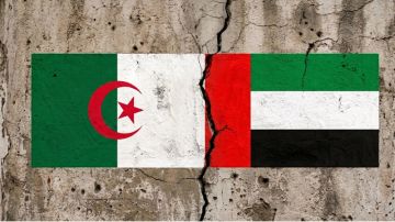 الجزائر تغلق مجالها الجوي أمام جميع الطائرات الإماراتية العسكرية والمدنية الجزائر تغلق مجالها الجوي أمام جميع الطائرات الإماراتية العسكرية والمدنية