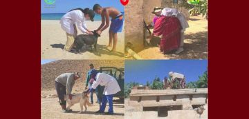 تونس تحيي اليوم العالمي ضد داء الكلب تحت شعار معا أقوى ضد داء الكلب تونس تحيي اليوم العالمي ضد داء الكلب تحت شعار معا أقوى ضد داء الكلب
