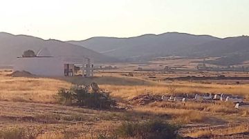 عادات تقاليد ... زردة الولي الصالح سيدي مسكين بوادي مليز .. طقوس واحتفالات بحثا عن البركات عادات تقاليد ... زردة الولي الصالح سيدي مسكين بوادي مليز .. طقوس واحتفالات بحثا عن البركات