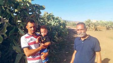 من زلفان إلى العيون وفوسانة ...الحشرة القرمزية... تحاصر السلطان من زلفان إلى العيون وفوسانة ...الحشرة القرمزية... تحاصر السلطان