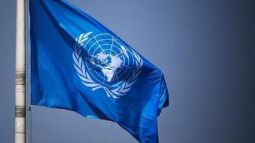 الأمم المتحدة.. دخان حرائق الغابات السام يتسبب في 100 ألف وفاة إضافية سنويا الأمم المتحدة.. دخان حرائق الغابات السام يتسبب في 100 ألف وفاة إضافية سنويا