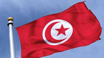 دعم الكفاءات التونسية دوليا