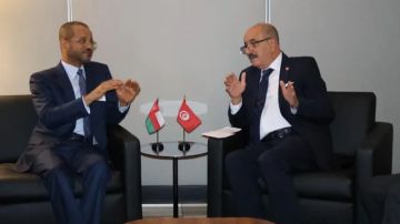 وزير الخارجية ونظيره العماني يؤكدان أهمية الإعداد المحكم للاستحقاقات القريبة المقبلة وزير الخارجية ونظيره العماني يؤكدان أهمية الإعداد المحكم للاستحقاقات القريبة المقبلة