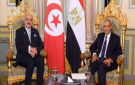 أول لقاء لوزير الشؤون الخارجية التونسي مع نظيره المصري