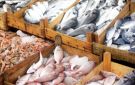 الميزان التجاري لمنتوجات الصيد البحري يسجل فائضا