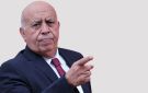 يوم الجمعة في الحمامات: ماذا في المجلس المركزي لحركة تونس إلى الأمام؟