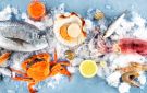 الميزان التجاري لمنتجات الصيد البحري يسجل فائضا بقيمة تقارب 92،6 مليون دينار موفى شهر جويلية 2026