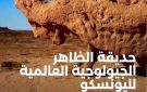 شهادة اليونسكو لجيوبارك الظاهر - tn