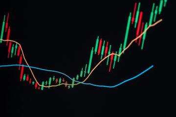 الإمارات.. الشيخ منصور بن زايد آل نهيان يجري أول معاملة دفع رقمية مباشرة عابرة للحدود