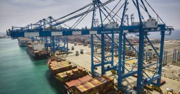 موانئ أبوظبي تستحوذ على حصة في الإسكندرية لتداول الحاويات