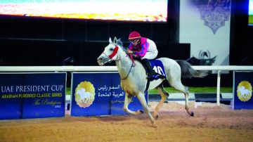  عفجان بطل كأس رئيس الدولة للخيول العربية في ليبيا