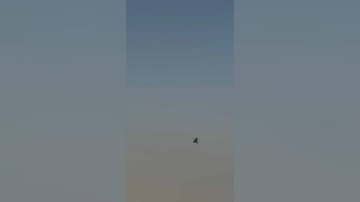 مشاهد جديدة توثق لحظة تحطم مقاتلة هندية في معرض دبي للطيران