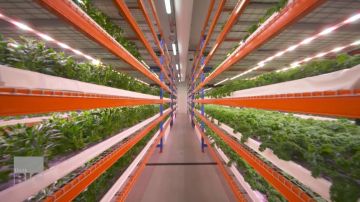 طيران الإمارات تعلن تزويد أسطولها بخدمة ستارلينك للإنترنت فائق السرعة