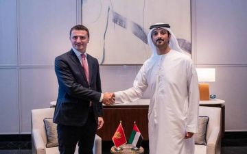 الإمارات ومونتينيغرو تبحثان تعزيز التعاون الاقتصادي وتوسيع الشراكات الاستثمارية