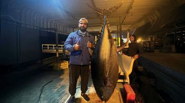 صياد مواطن يوثق صيد أم قوس عملاقة بوزن 137 كيلوغراما