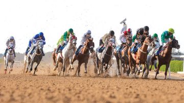 كأس مجلس التعاون الخليجي لسباق الخيل تنطلق اليوم في الشارقة
