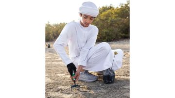 600 شجرة قرم في جبل علي البحرية لدعم التنوع البيولوجي