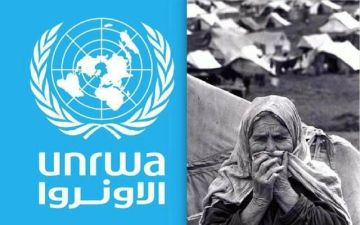 مصر والسعودية و6 دول أخرى تدين اقتحام مقر الأونروا وتدعو لحمايتها مصر والسعودية و6 دول أخرى تدين اقتحام مقر الأونروا وتدعو لحمايتها