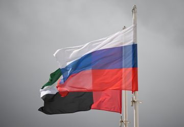 روسيا والإمارات تبحثان تعزيز التعاون في قطاعات الاقتصاد الجديد روسيا والإمارات تبحثان تعزيز التعاون في قطاعات الاقتصاد الجديد