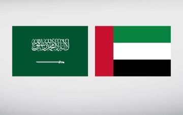 دولة الإمارات ترحب بالجهود الأخوية التي تبذلها السعودية لدعم الأمن والاستقرار في اليمن