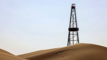 شركة ناشئة في الإمارات تقدم حلا لأزمة الكربون والأمن الغذائي