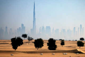 الإمارات تعتمد أول إطار تشريعي في المنطقة لمكافحة التغير المناخي