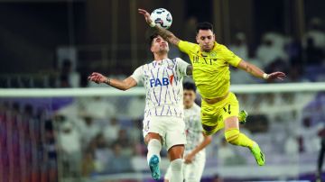sport7.news