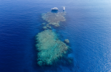 موناكو البحر الأحمر.. توقيع صفقة ضخمة بين مصر والسعودية والإمارات اليوم