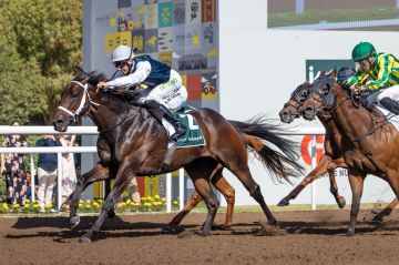 الجواد  بيلي ويستر  بطلا لكأس  تيست أوف كيلدير  في مضمار جبل علي